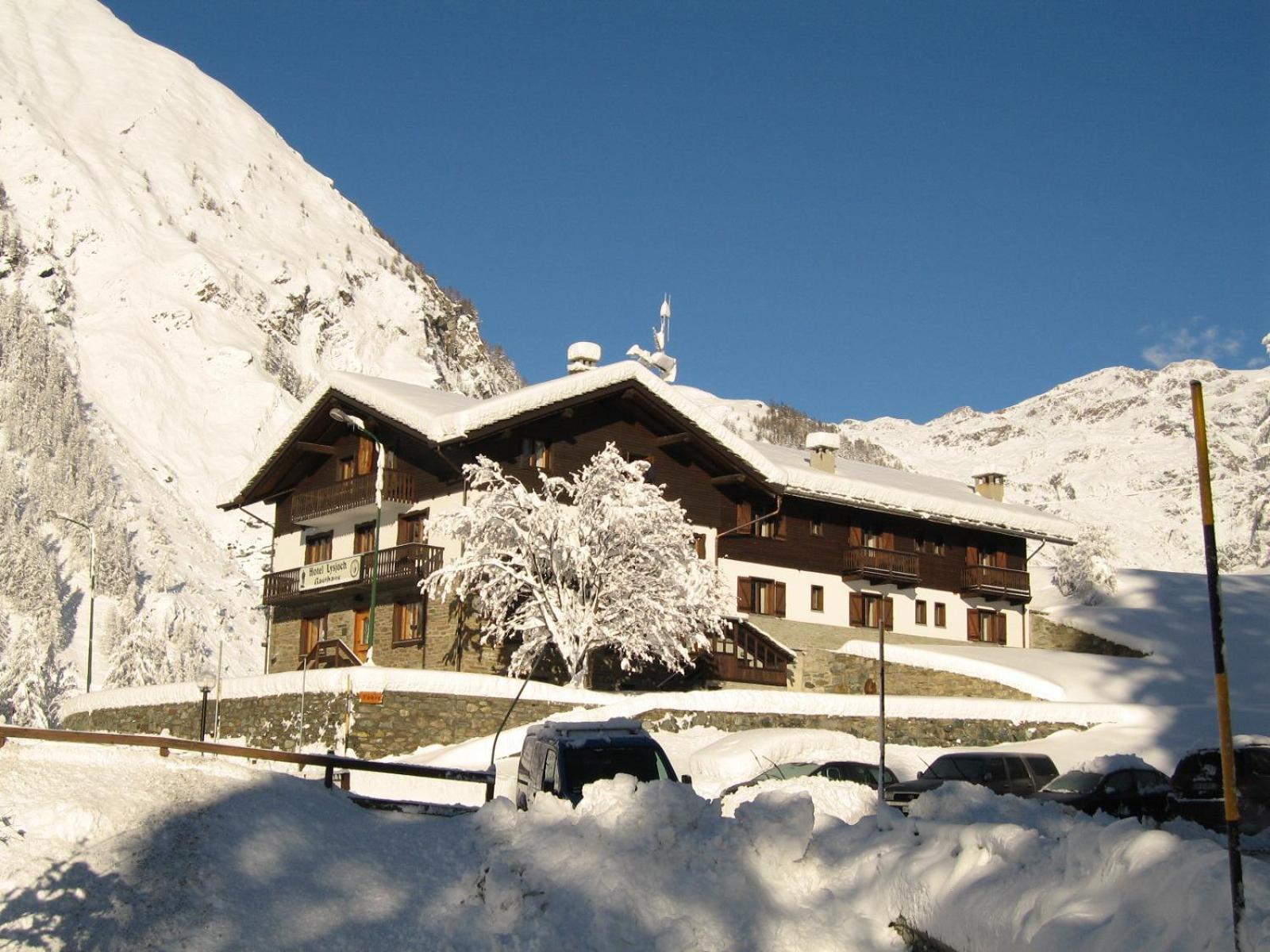 Hotel Lysjoch Грессоней-ла-Трините Экстерьер фото